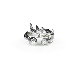 winged fireball1